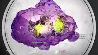 SevenPoint2 Power of Hydrogen