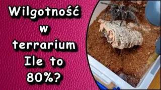 Ile to jest 70% wilgotności ? Czyli jak zwilżać i rozpoznawać wilgotność w terrarium 💧💧💧
