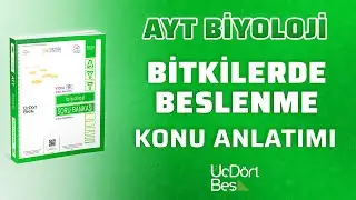 BİTKİLERDE BESLENME | 2022 AYT BİYOLOJİ | 345 YAYINLARI