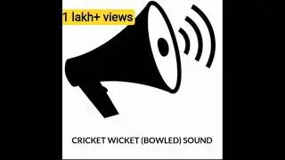Cricket wicket (bowled) sound for cricket video editors ❤