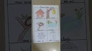 Animal n birds shelter drawing project