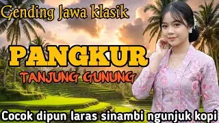 GENDING JAWA PANGKUR TANJUNG GUNUNG _ GENDING JAWA KLASIK COCOK DIPUN LARAS SINAMBI NGUNJUK KOPI
