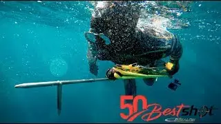 Epsealon Best Of 50 Shot  - Chasse sous marine 2019