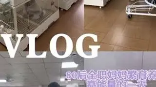 80后全职妈妈开兔舍养兔日常 #安哥拉兔#兔子#vlog日常 #萌宠日常记录 #原创视频