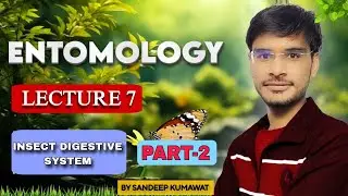 INSECT DIGESTIVE SYSTEM।। PART-2।। #Agrijoyy  ।। #entomology#B.Sc agriculture#Entomology