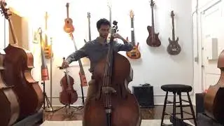 Herman Stolzel bass at Quantum Bass Center