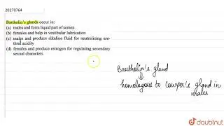 Bartholin's glands occur in: