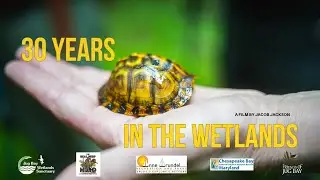 Participatory Science: 30 Years of Dedication at Jug Bay Wetland Sanctuary