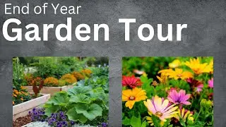 End of Year Garden Tour 2022