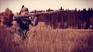 Игры выходного дня. DayZ. Переезжаю в лес.
