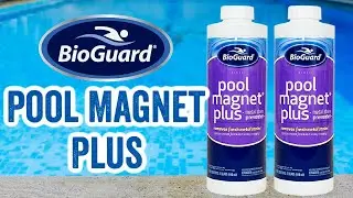 BioGuard Pool Magnet Plus  Metal Stain Preventer