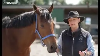 THOROUGHBREDS ARE GO EP 6 - 2024 WHOLE SHOW