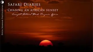 Safari Diaries  - Chasing an African sunset