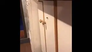 Вот это поворот