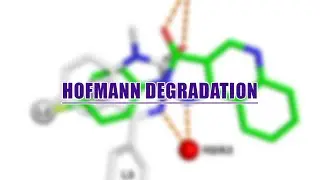 HOFMANN DEGRADATION