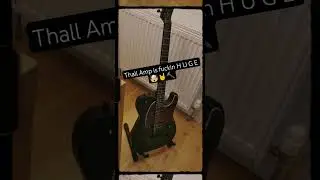 Thall Amp Demo Riffs #thall #thallamp #metal #guitar #deathcore #slammingdeathcore #brutal #music