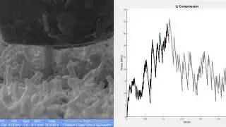A Close-Up View of Lithium-Metal Dendrites