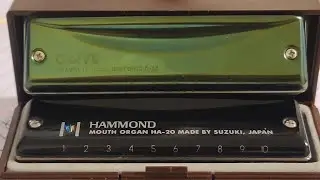 Suzuki Hammond vs Suzuki Olive 🫒 | Harmonica comparison