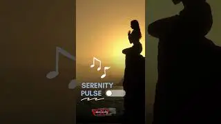 VSOmelody - Serenity Pulse #musicforrelaxation #musicforsoul #musicforthesoul #music #instrumental