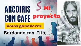 Proyecto en cámara rápida . 