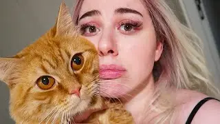 KEDİMİ KISIRLAŞTIRDIM! 🐈🐈