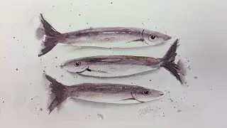 How to Paint Realistic Fishes in Watercolor | The Magic of Layered Watercolors