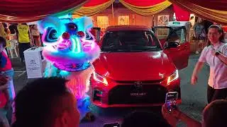 Lion Dance lights up the mall with an energetic, vibrant performance that brings the lion to life