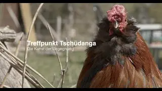 Treffpunkt Tsch&uuml;danga 2025