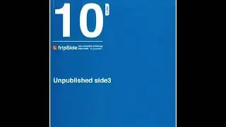 fripSide - snow blind (Audio)