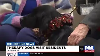 Therapy dogs visit residents at Upstate assisted living facility