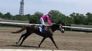 Nik Juarez after winning for Gary and Mary West at Monmouth