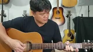 Seagull S6 + Cedar (1996, Canada) [FB:กีต้าร์มือสอง um]
