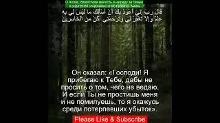 Коран Сура Худ | 11:47 | Чтение Корана с русским переводом |Quran Translation #quranrecitation