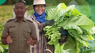 MENINGKATKAN KETAHANAN TANAMAN TERHADAP PATOGEN DENGAN VARIETAS TAHAN ( KELOMPOK 2 )