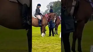 CHAMPION SHOW HORSE | Vlog out now #horse #equestrianjourney #equestrian