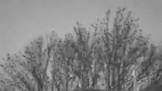 Bileebob-blacksoil_01