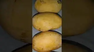 Mangoes ka taste| #trending #viral #ytshorts