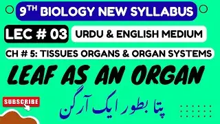 Class 9 Biology Chapter 5 | Leaf as an Organ | Urdu + English | PCTB 2025| New Syllabus