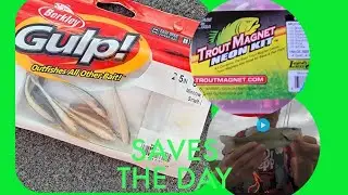 GULP MINNOWS and TROUT MAGNET fishing
