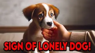 10 Signs Your Dog is Lonely