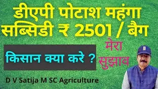 dap ki kami | dap subsidy new update | potash subsidy | fertilizer subsidy | urea subsidy |
