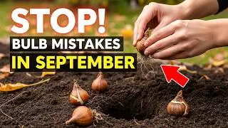 Don&rsquo;t Overlook These September Bulb Planting Mistakes 🌷 | Beginner Fall Gardening Tips!