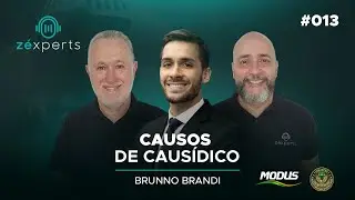 CAUSOS DE CAUS&Iacute;DICO | Brunno Brandi | Z&eacute;xperts