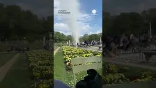 Dust Devil Steals Jackets from Spring Square in Paris