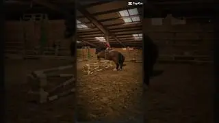 #horse #keepriding #equestrian #keeponriding #horseriders #horseriding #horsebackriding