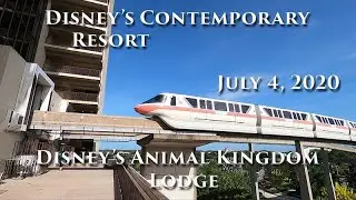 Disney's Contemporary Resort & Animal Kingdom Lodge Kidani Village pool July 4, 2020 (The Wave)
