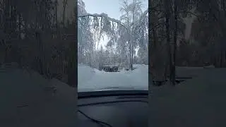 An Adventure in Alaska ❄️  #dogs #sledding #snowy #winter #offroad #suv #snowhook #willow
