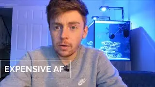 How Much Does a Reef Tank Cost?
