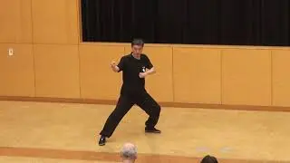 本場の太極拳 陳式心意混元太極拳、二路（20230617）
