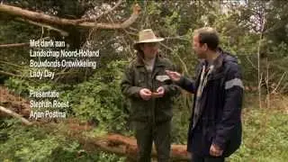 Compilatie Natuurlijk Noord-Holland 2012-2013